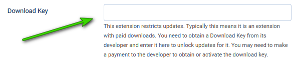 V4 paste key