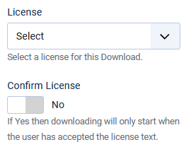 V4 options license and confirm