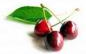 cherries mini pic