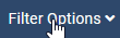 V4 button filter options