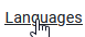 V4 button languages