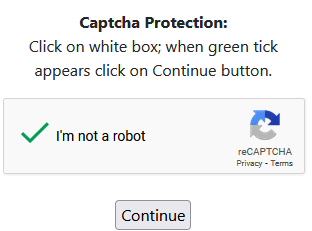 v4 captcha protection ok