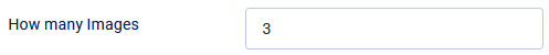 V4 how many images