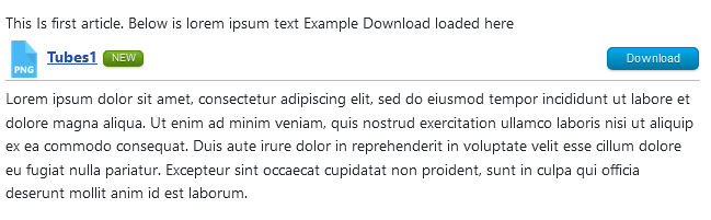 V4 article in frontend view