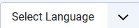V4 layout select language