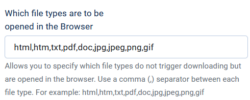 option-file-types-in-browser