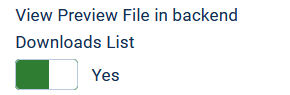 V4 option view preview file in backend list