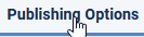 V4 tab publishing options