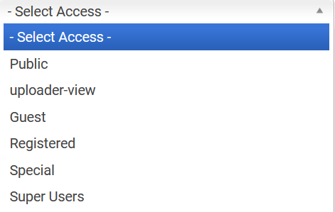 V4 Default Access Level
